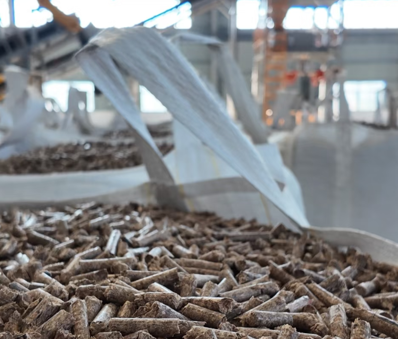 江西赣州生物质颗粒：8月5日工艺-4