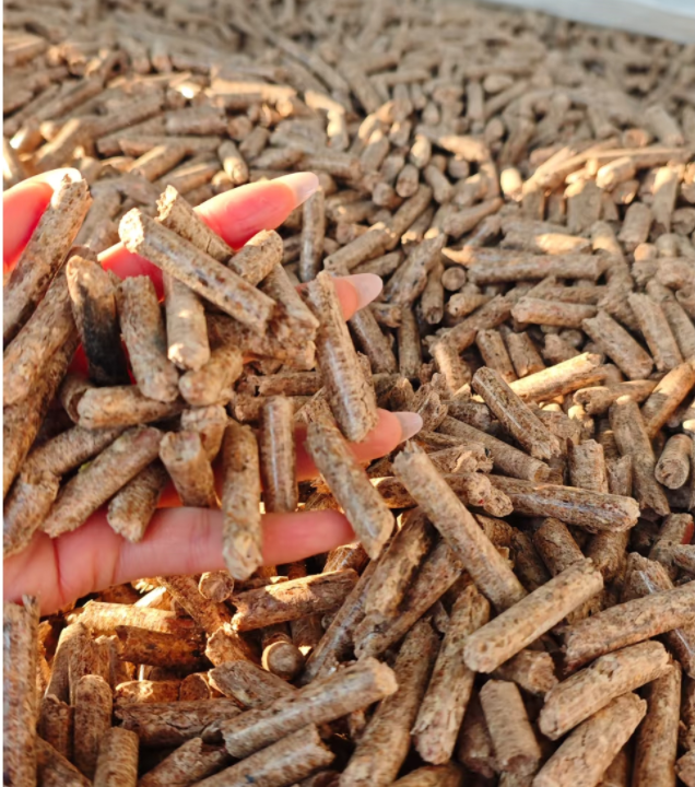 抚州九江生物质颗粒：8月生产工艺-2